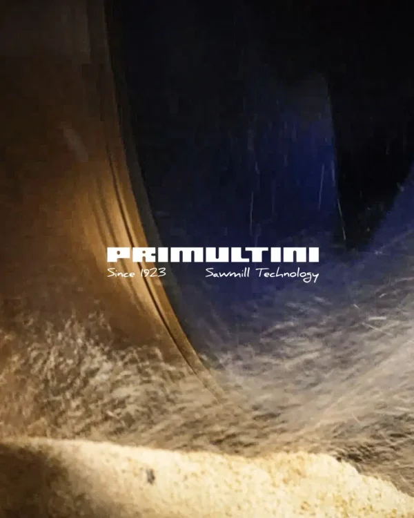 Primultini
2026 - oggi
Social + Ads